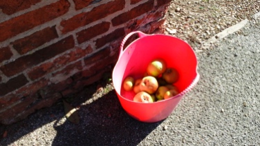 Kind offerings - which are all over the village. Everyone seems to have fruit trees.