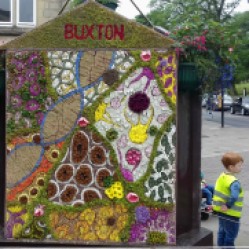 Buxton well dressing