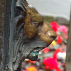 Lion decoration water spout on St Ann's Well, Buxton. Out of use while the well dressing is up.