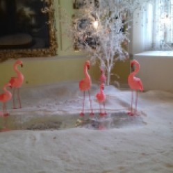 Flamingoesin the Long Gallery 2