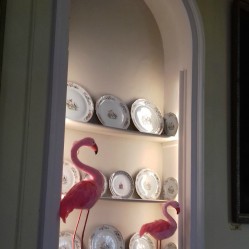 Long Gallery Flamingoes in a recess