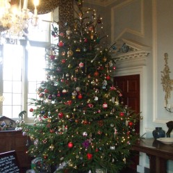 Main tree in the dining room