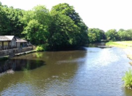 River Aire beside the park