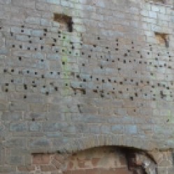 Holes that held wooden pegs that supported a timber and plaster frieze pegs
